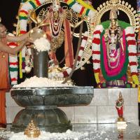 Annaabhishekam22Nov2007 019_CMP_WM